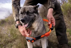 Alpha LTE, hundpejl - Handhållen Gps - Alpha LTE, hundpejl