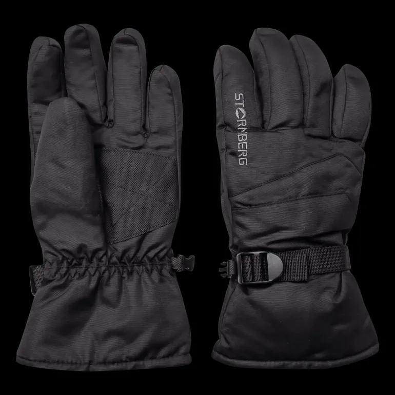 Alpine Gloves Vemdalen 24/25, skidhandske, unisex - Skidhandskar - Alpine Gloves Vemdalen 24/25, skidhandske, unisex