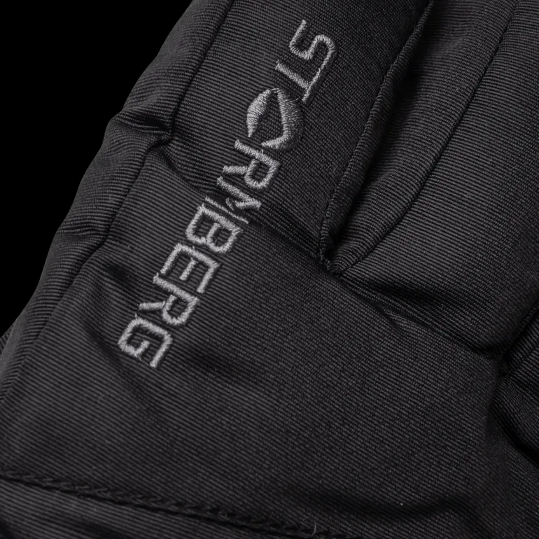 Alpine Gloves Vemdalen 24/25, skidhandske, unisex - Skidhandskar - Alpine Gloves Vemdalen 24/25, skidhandske, unisex