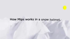 Alpine Helmet Quiver 2 plus Mips 24/25, hjälm, unisex - Skidhjälm - Alpine Helmet Quiver 2 plus Mips 24/25, hjälm, unisex