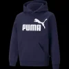ESS Big Logo Hoodie FL B, huvtröja, junior - Fritidströjor - ESS Big Logo Hoodie FL B, huvtröja, junior