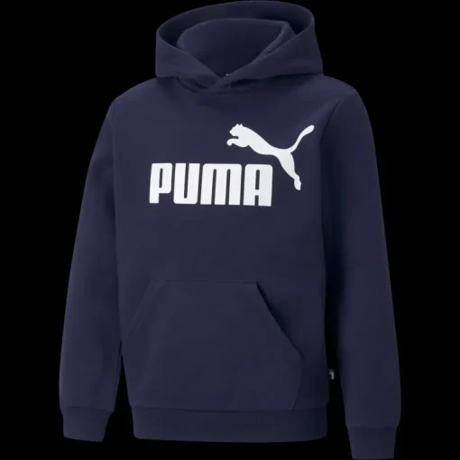 ESS Big Logo Hoodie FL B, huvtröja, junior - Fritidströjor - ESS Big Logo Hoodie FL B, huvtröja, junior