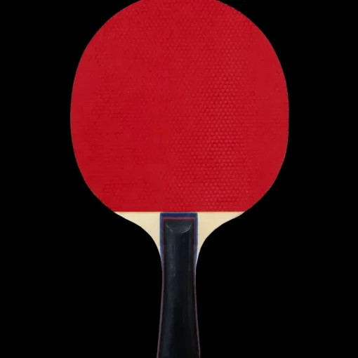 FZ Classic Table Tennis 1-Star , bordtennisracket för nybörjare, unisex - Bordtennisracketar - FZ Classic Table Tennis 1-Star , bordtennisracket för nybörjare, unisex