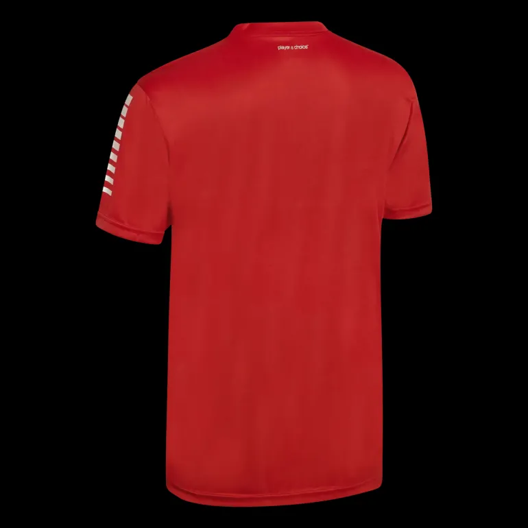 Player Shirt Short Sleeve Pisa, t-shirt herr - T-Shirts - Player Shirt Short Sleeve Pisa, t-shirt herr